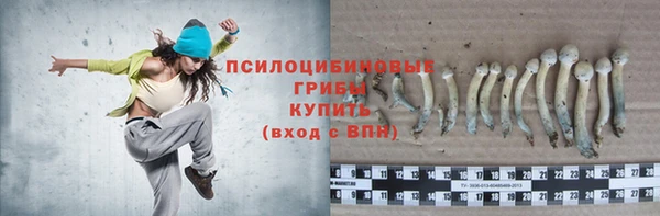 кристаллы Осташков