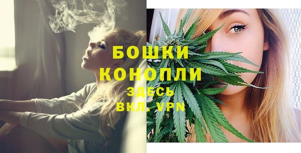 мдпв Теберда