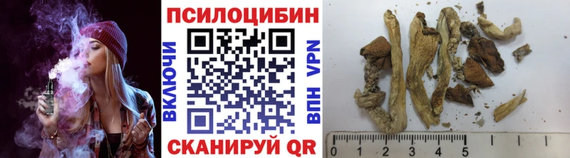 Галлюциногенные грибы Psilocybe  Полтавская 