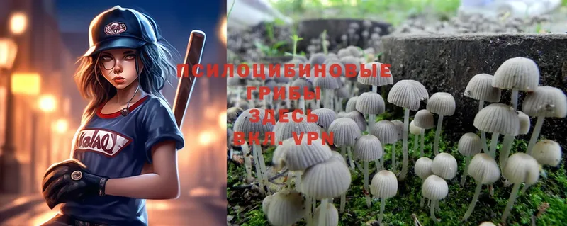 Псилоцибиновые грибы Magic Shrooms  Полтавская 